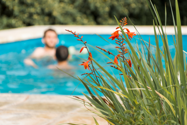 ms pool clean bali